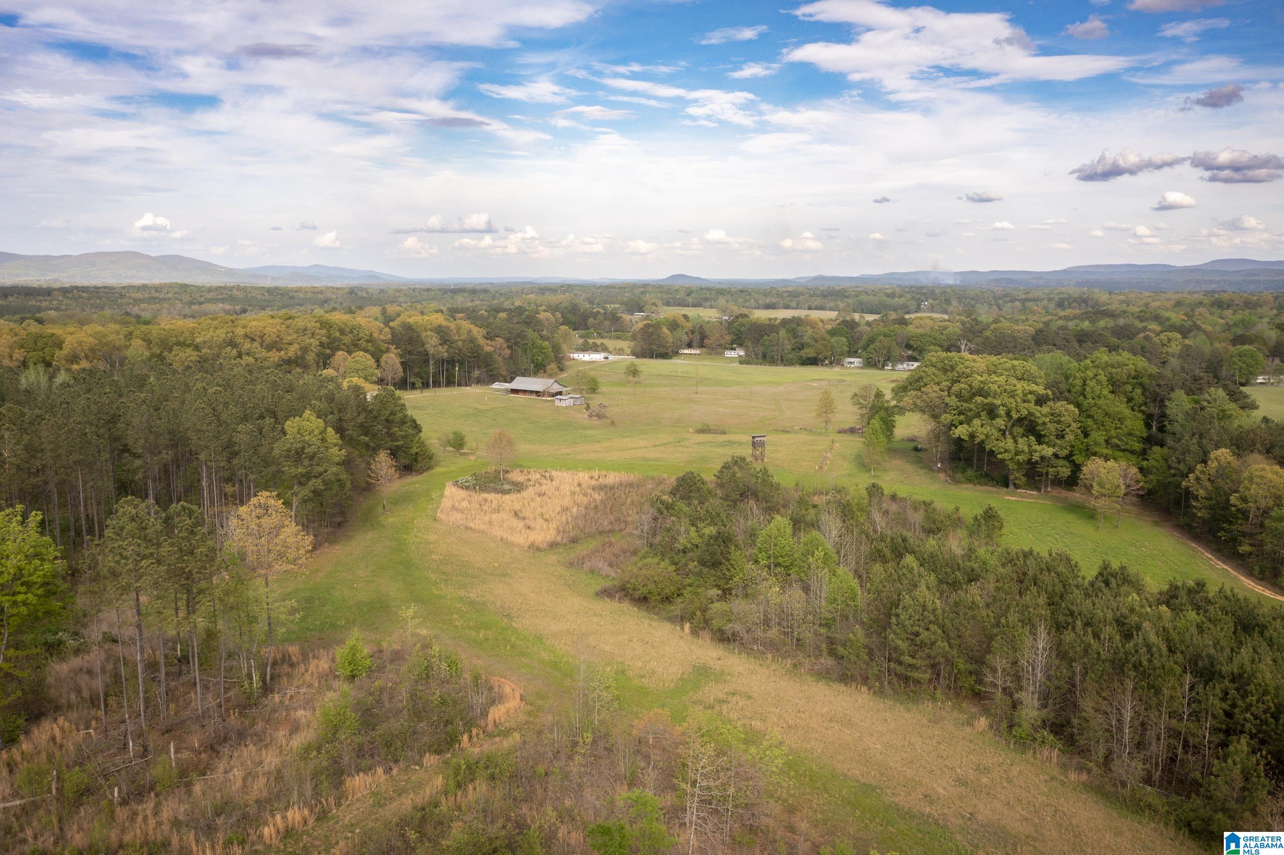 1325 Ledbetter Road Munford, AL 36268 - Photo 62 of 85