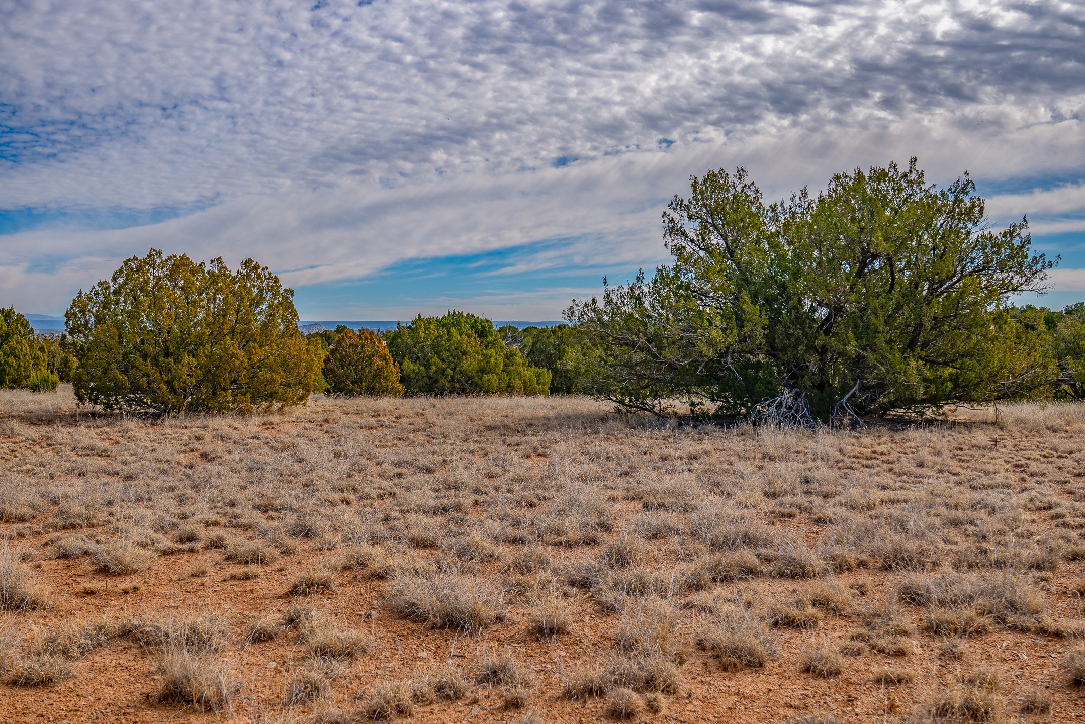 65 Grenfell Ranch Road Cerrillos, NM 87010 - Photo 14 of 46