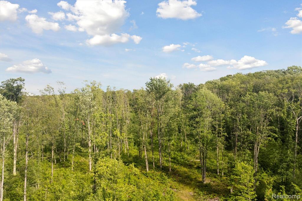 0 Oak Ridge Circle Road Mio, MI 48647 - Photo 7 of 13