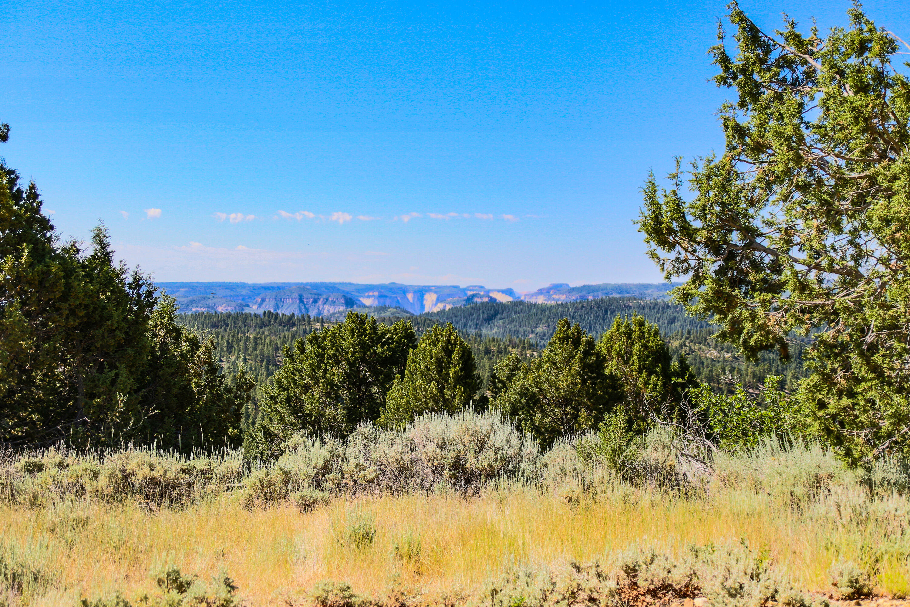 Fitzwater Drive, Unit 22 Springdale, UT 84767 - Photo 21 of 23 cabin spot south views zoom 1
