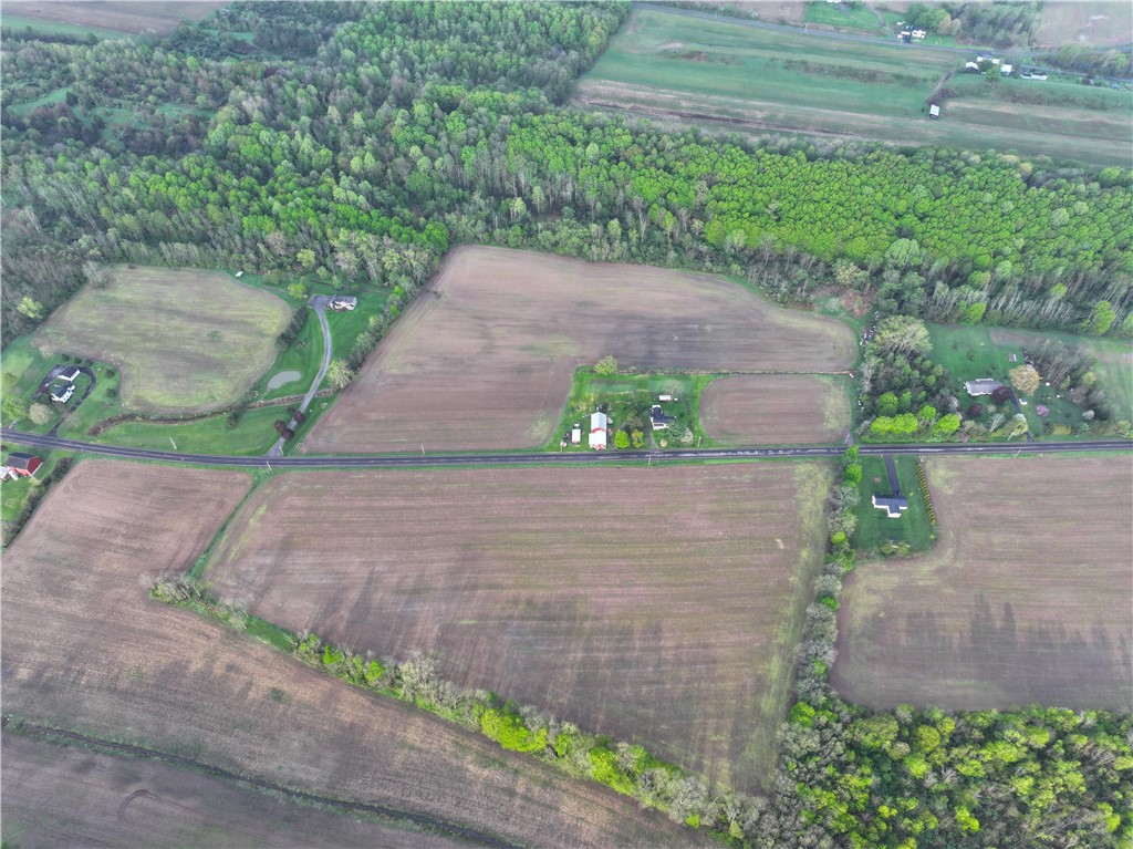 1537 Tyre ( Entire Parcel) Road Clyde, NY 14433 - Photo 12 of 39