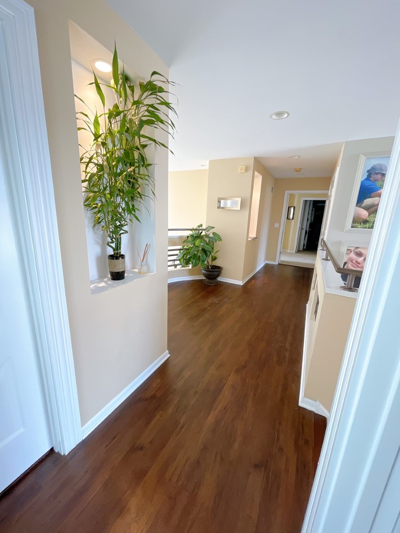 2047 Sheridan Road Buffalo Grove, IL 60089 - Photo 17 of 25 a view of a hallway with wooden floor and a potted plant