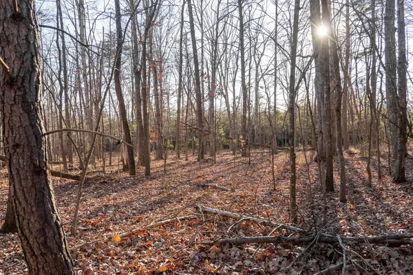 $65,000 | 0 Woodland Drive, Luray, VA 22835