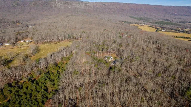 a view of a yard with trees
