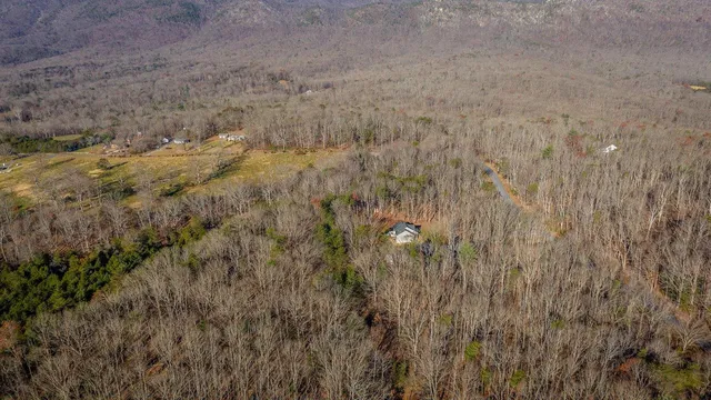 a view of outdoor space with lots of trees