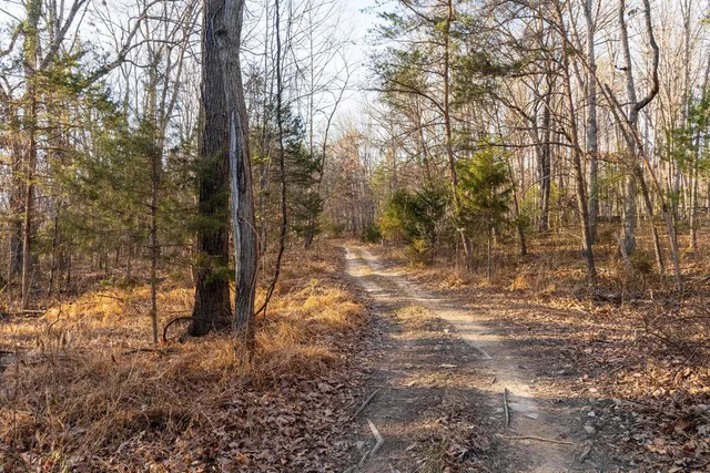 a view of outdoor space with trees