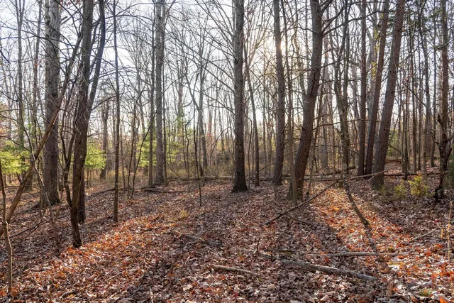 a backyard of a house with lots of green space and chair