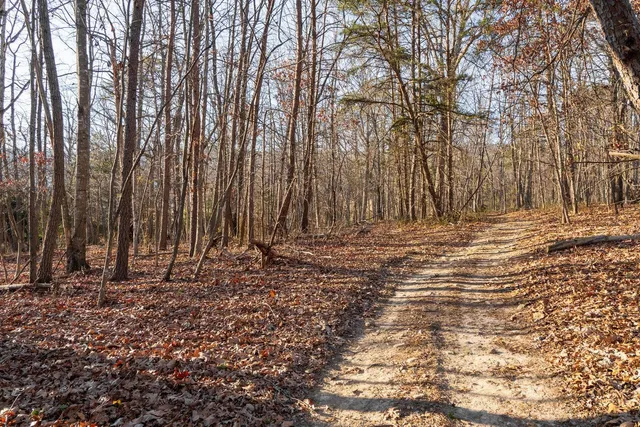 a house view with a outdoor space