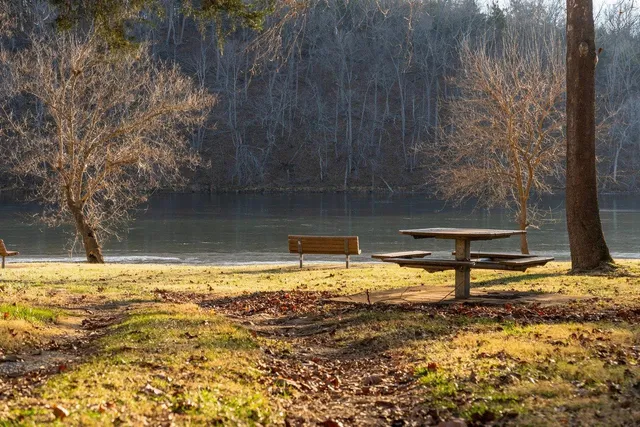 a view of a water pond with green space