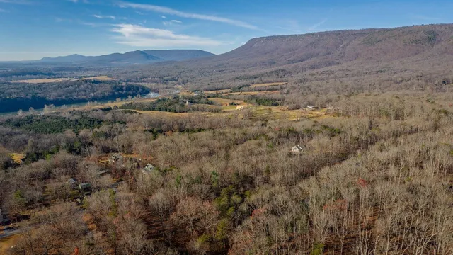 a view of mountain and tree