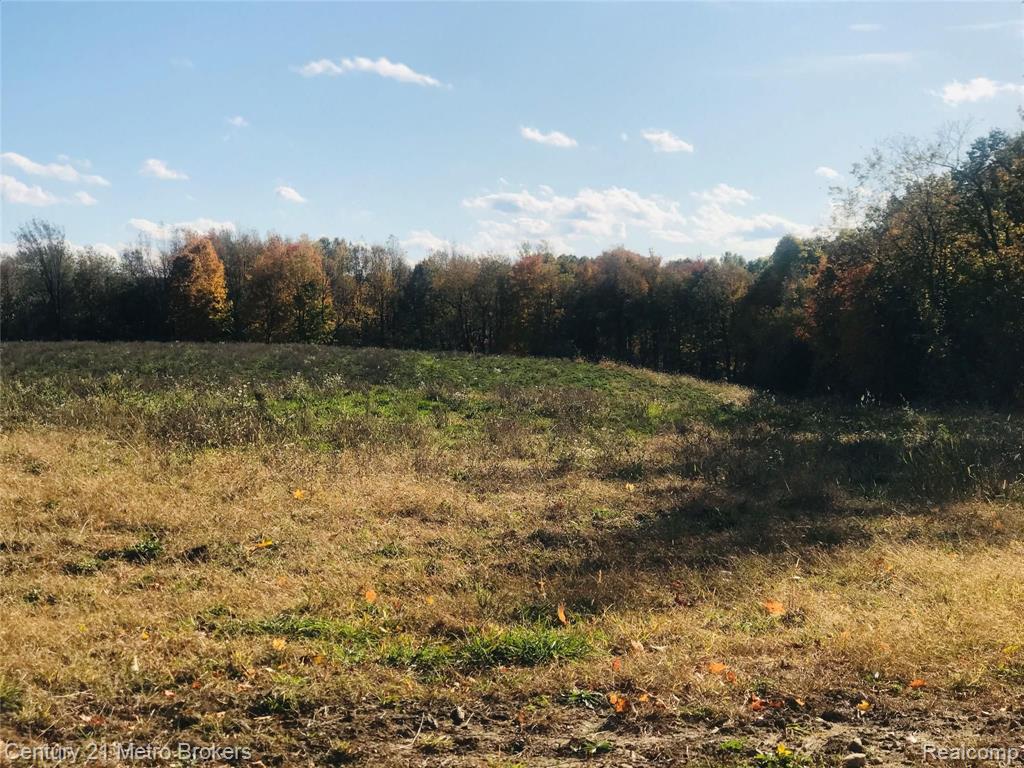 Parcel F Brocker Road Goodrich, MI 48438 - Photo 1 of 5