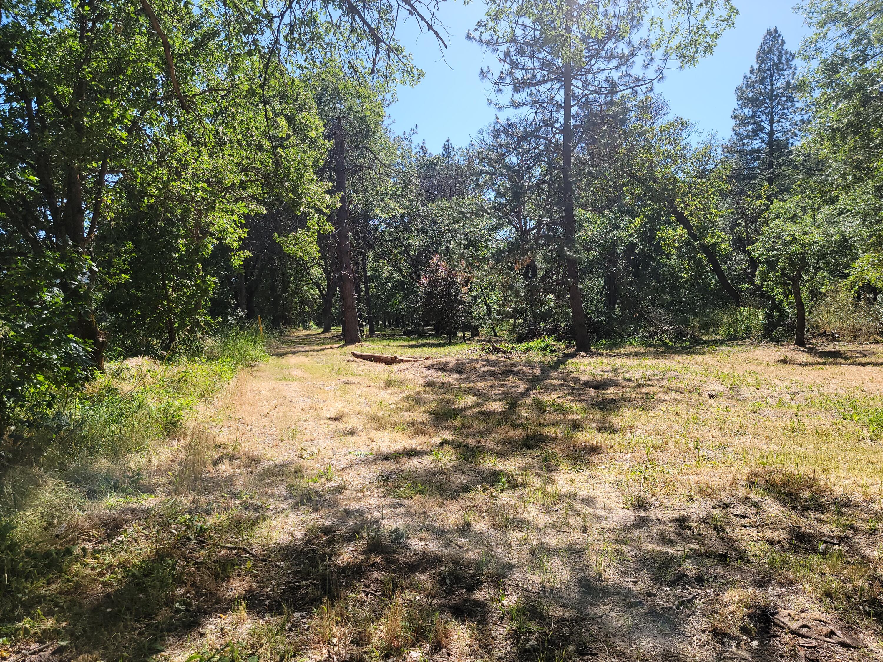 River North Road, Unit 3300 Gold Hill, OR 97525 - Photo 8 of 43 20240605_162209