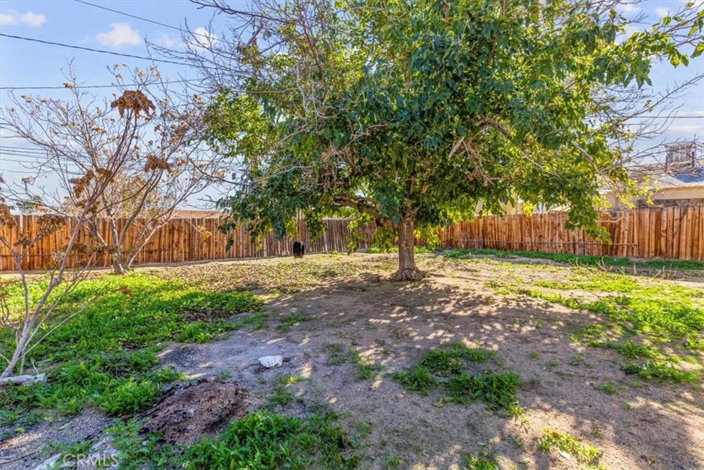 6431 Goleta Avenue Yucca Valley, CA 92284 - Photo 20 of 23 a view of backyard with tree