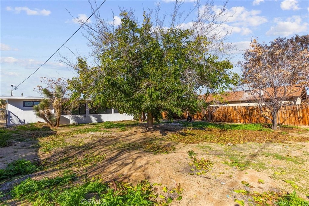 6431 Goleta Avenue Yucca Valley, CA 92284 - Photo 21 of 23 a view of a yard with a tree