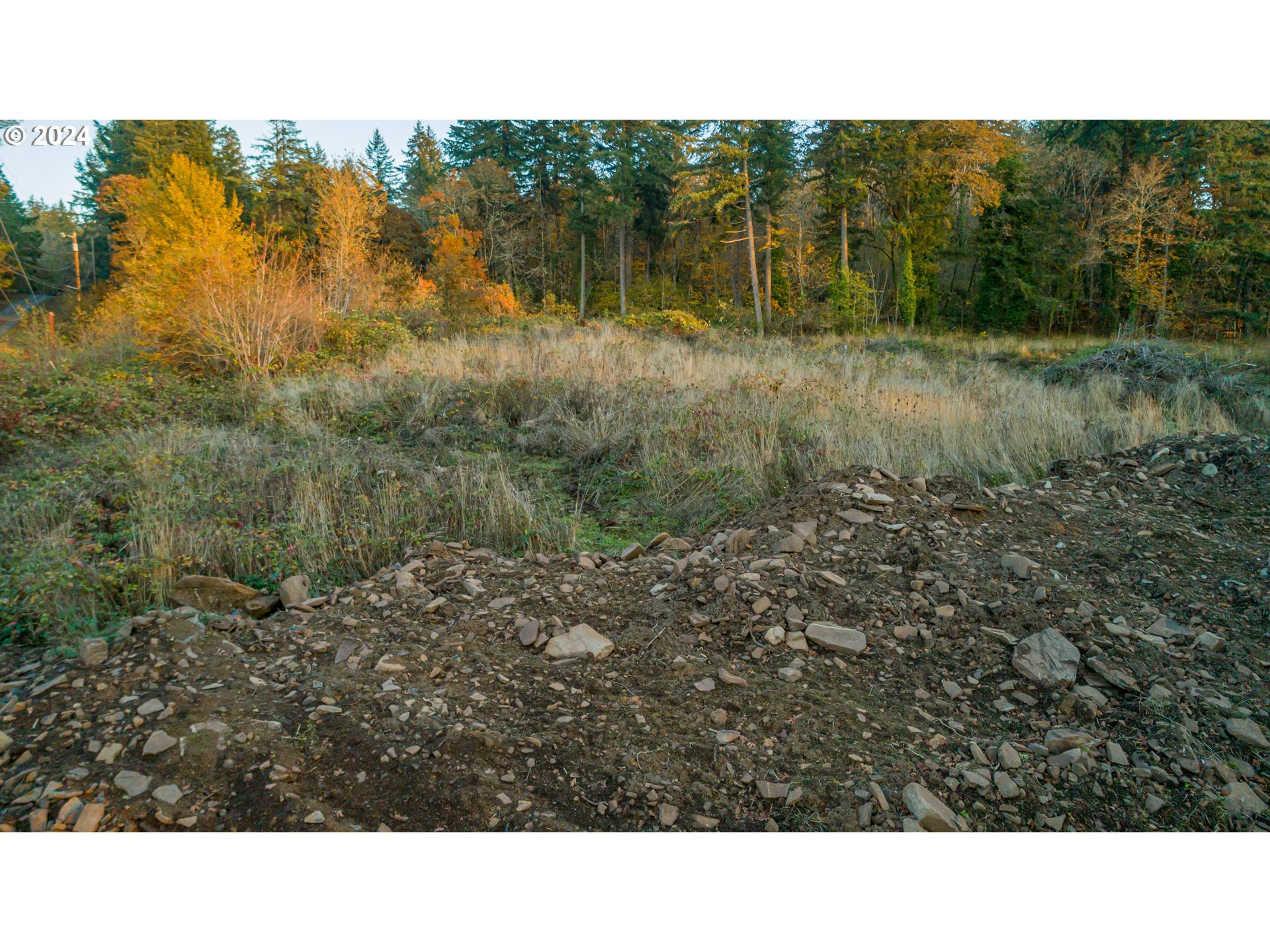 East Grant, Unit PARCEL1 Lebanon, OR 97355 - Photo 4 of 13 a view of a yard