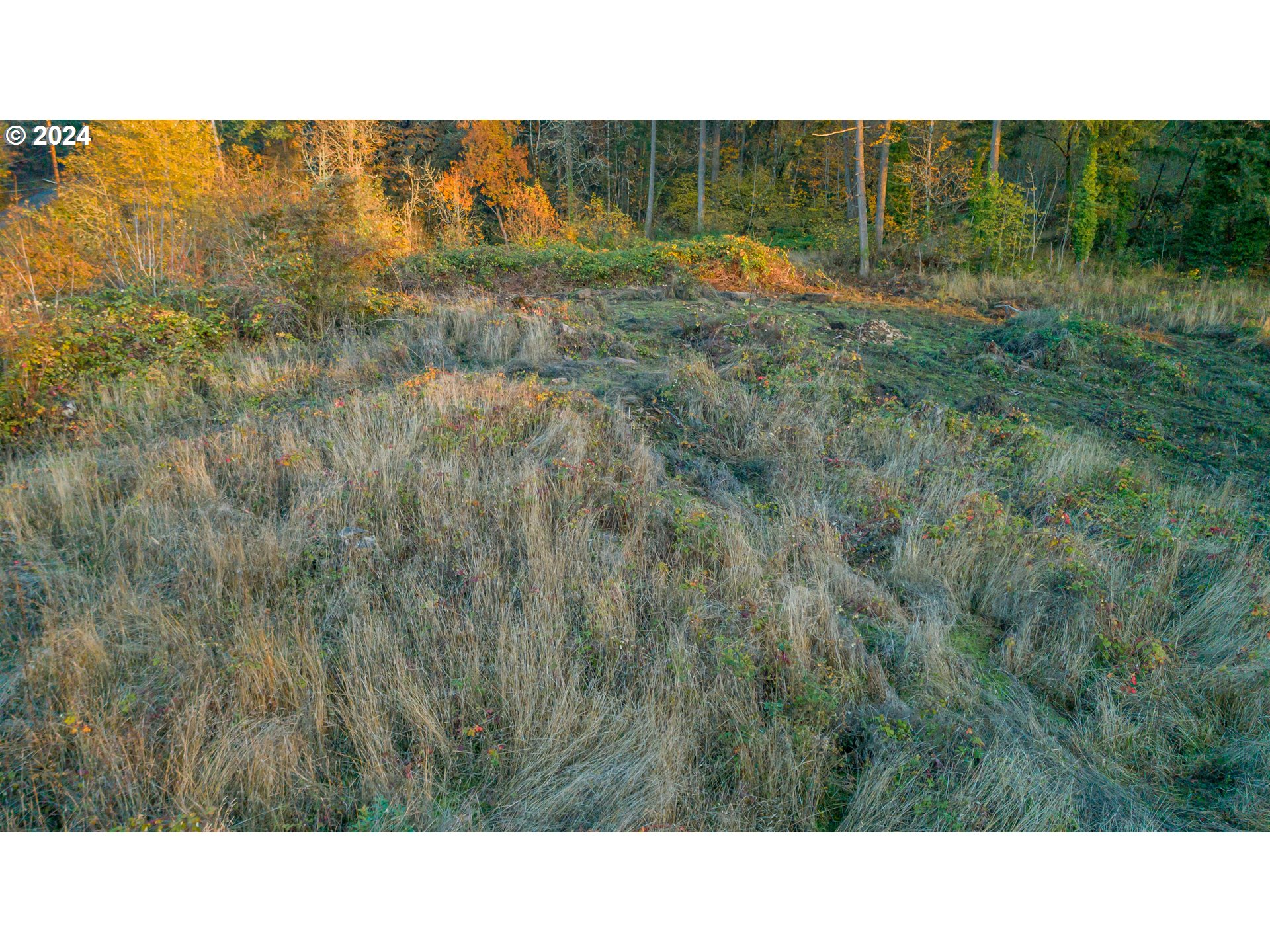 East Grant, Unit PARCEL1 Lebanon, OR 97355 - Photo 5 of 13 a view of a park