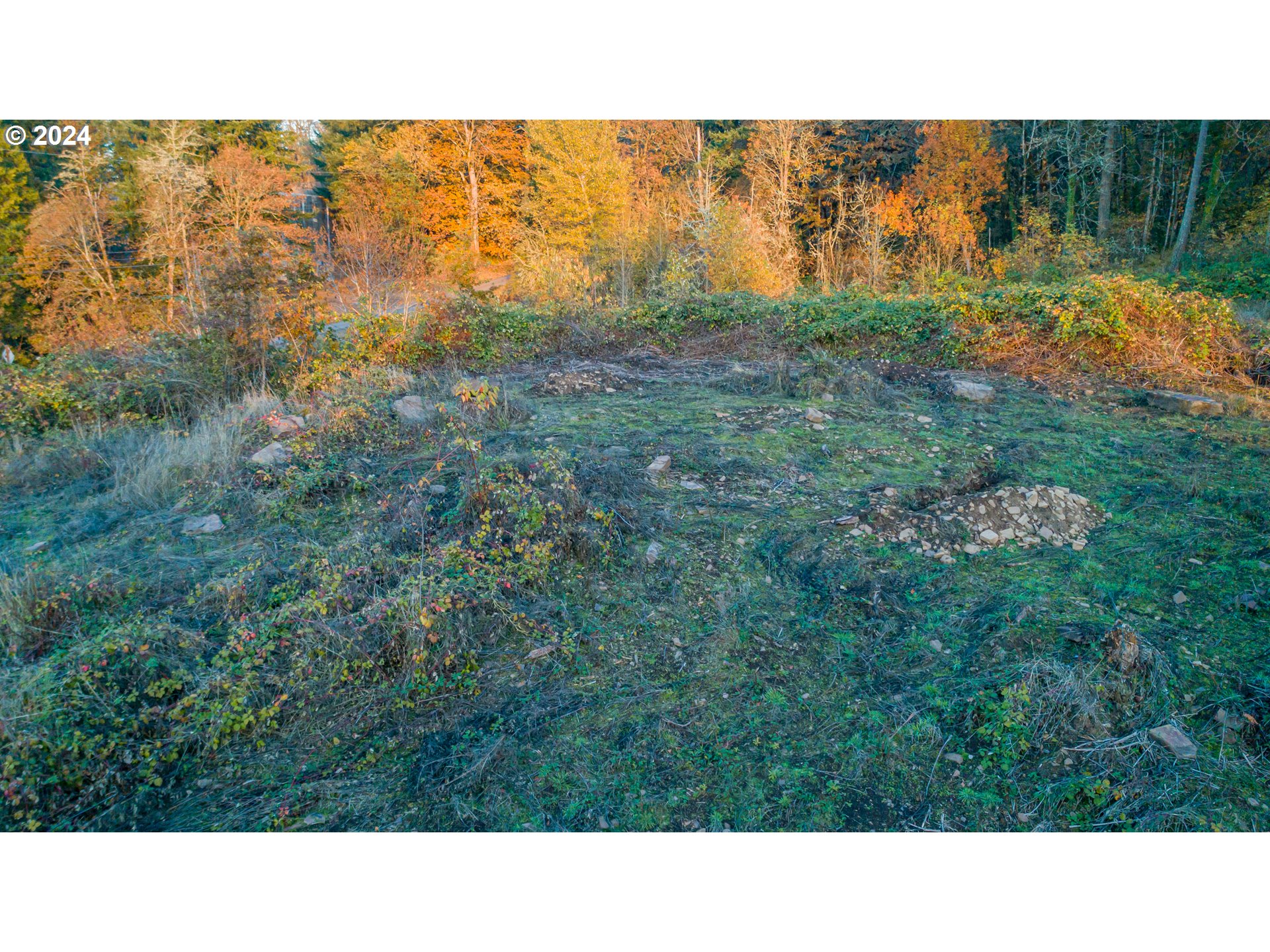 East Grant, Unit PARCEL1 Lebanon, OR 97355 - Photo 6 of 13