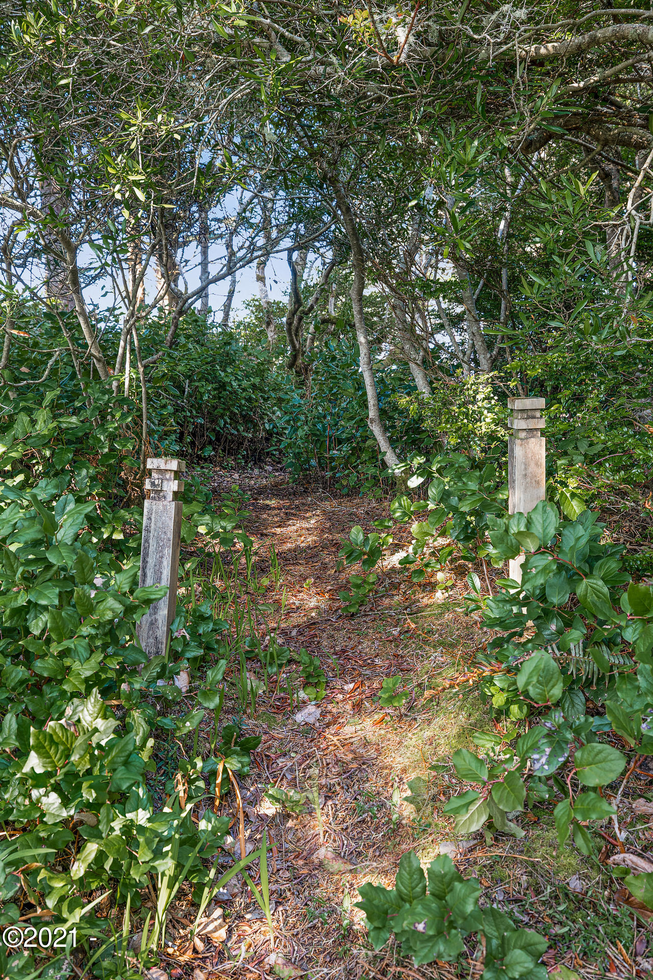 3 Ridge Crest Road Gleneden Beach, OR 97388 - Photo 43 of 50 Path