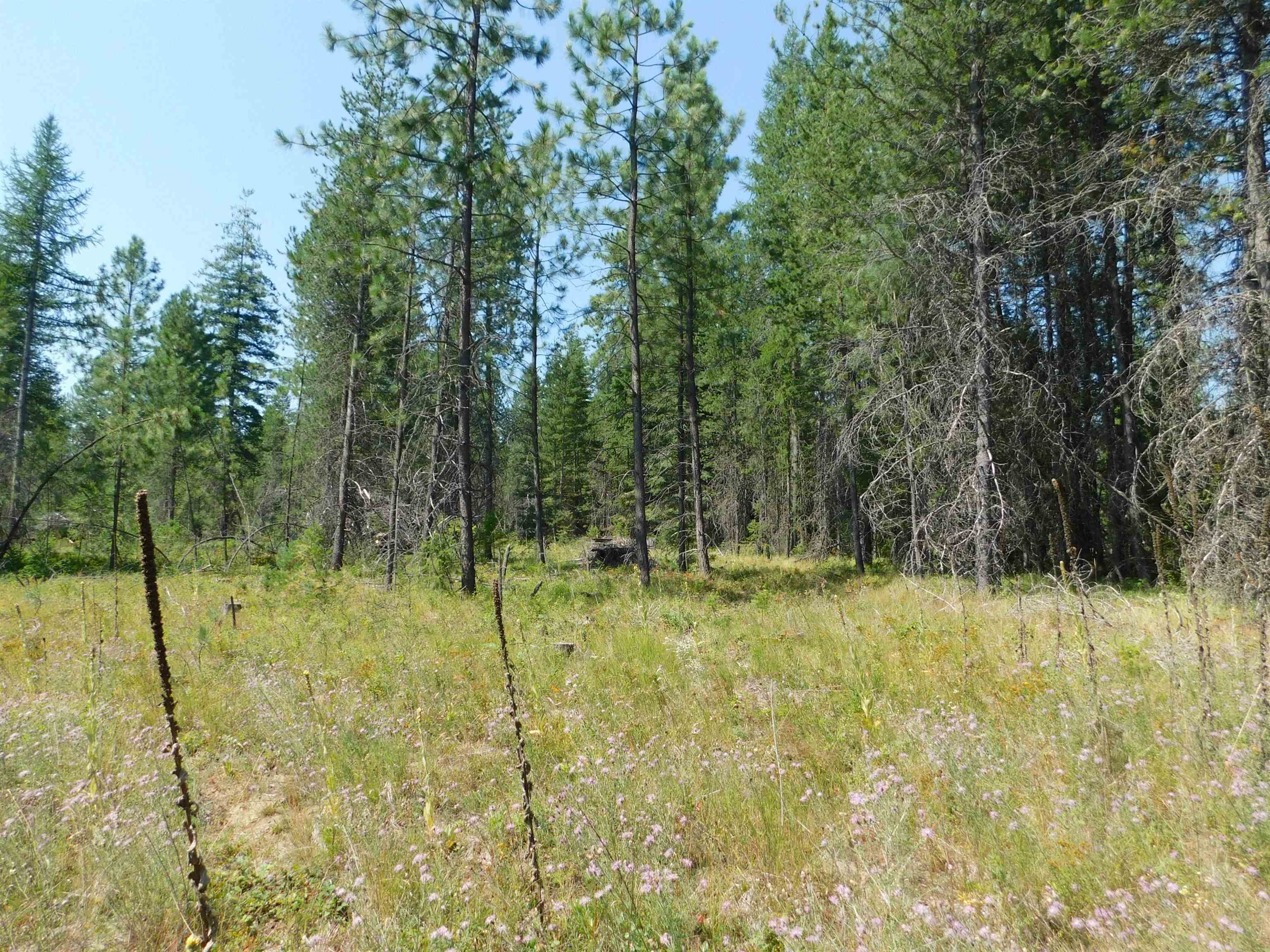 Xxo Deer Valley Road, Unit PARCEL A Newport, WA 99156 - Photo 4 of 8 Gallery Image 4