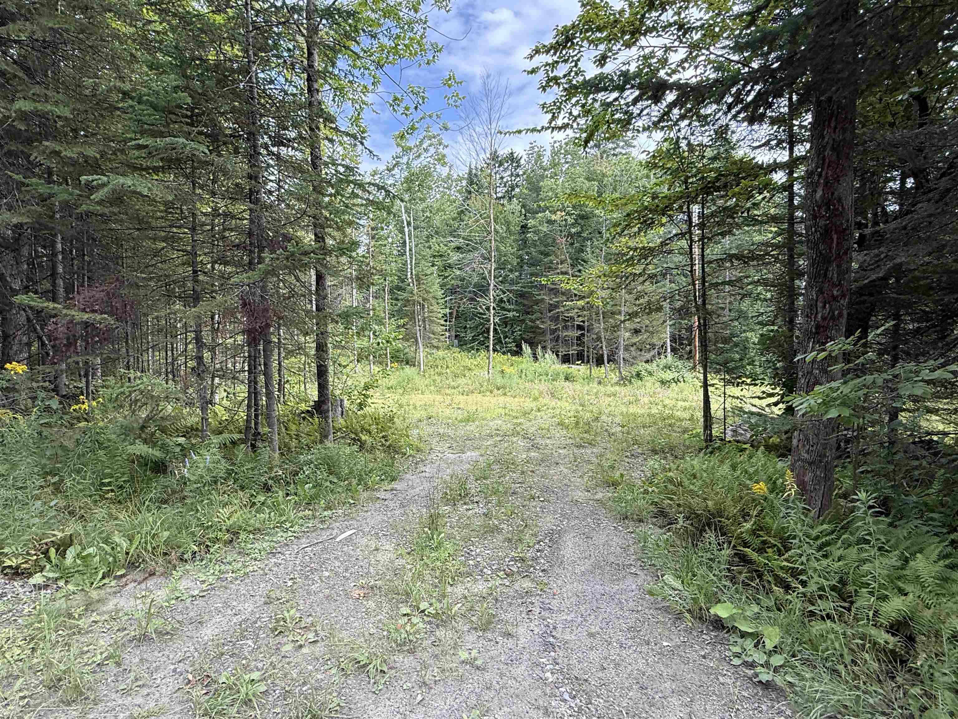 Lot 58 Old Pond Hill Road Lunenburg, VT 05906 - Photo 10 of 25 Gallery Image 10