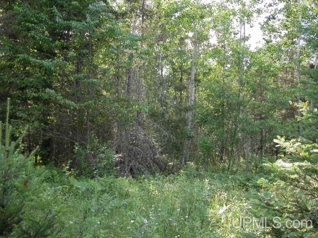 W2911 Oman Road Felch, MI 49831 - Photo 23 of 23 Gallery Image 23