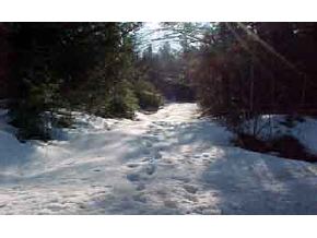 0 Mount Cardigan Road Alexandria, NH 03222 - Photo 5 of 5