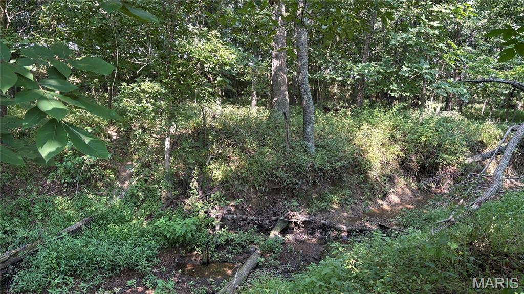 23036 Carlyle Road Thompsonville, IL 62890 - Photo 73 of 99
