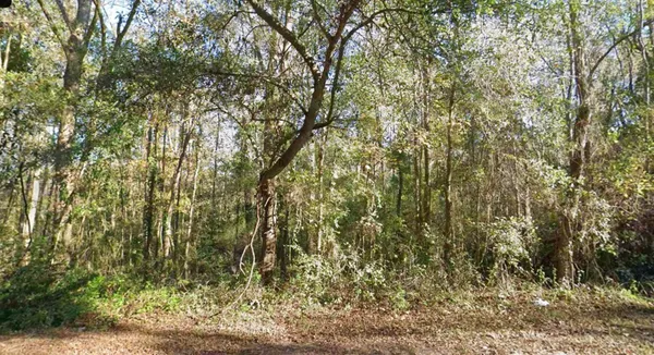 $15,000 | 0 Moccasin Gap Road, Tallahassee, FL 32309