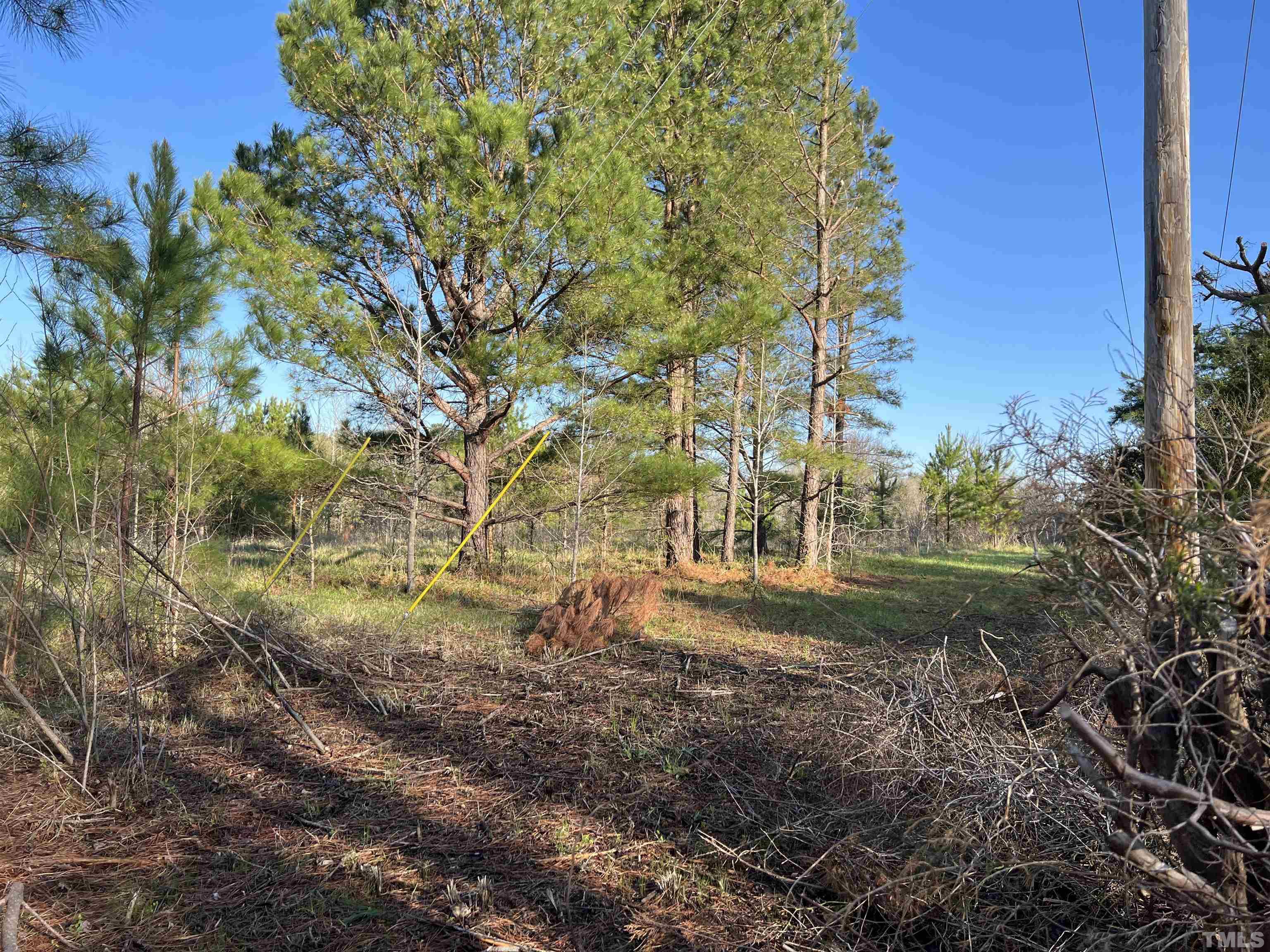 Lot B-r Brookhollow Road Efland, NC 27243 - Photo 2 of 4 a view of back yard