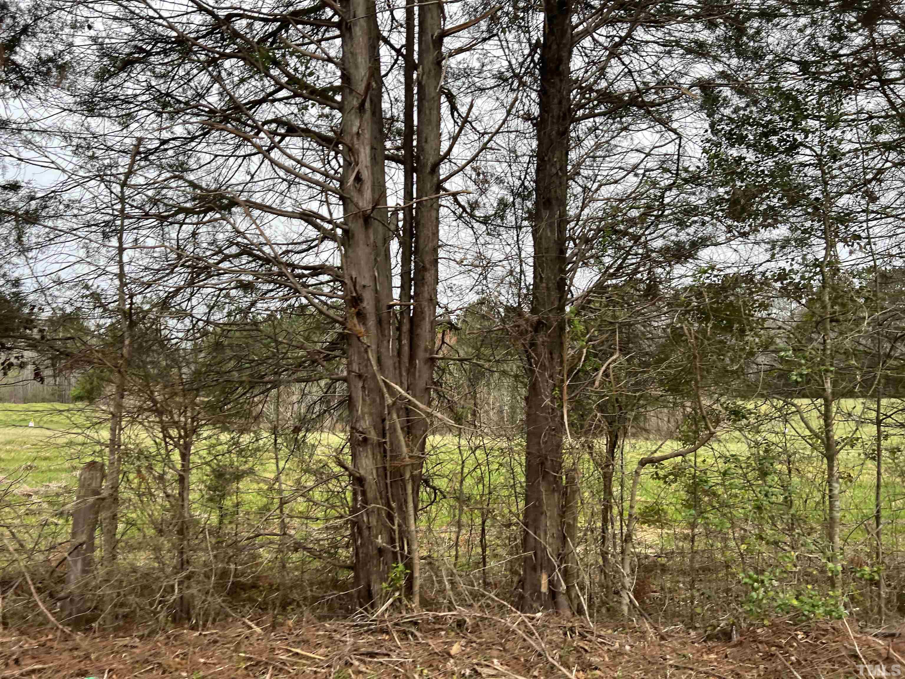 Lot B-r Brookhollow Road Efland, NC 27243 - Photo 3 of 4 a view of a yard with large trees