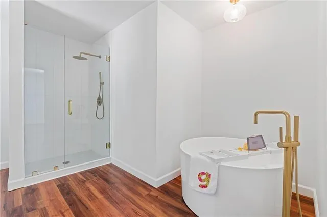 a view of a yard with plants and large trees