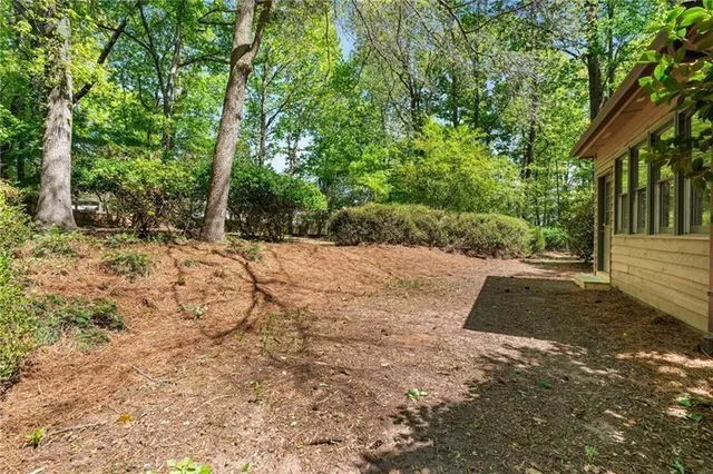 a view of a backyard with plants and large trees