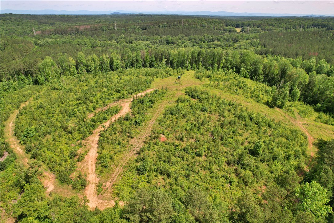 Lot 4 Mill Pine Road Central, SC 29630 - Photo 15 of 17