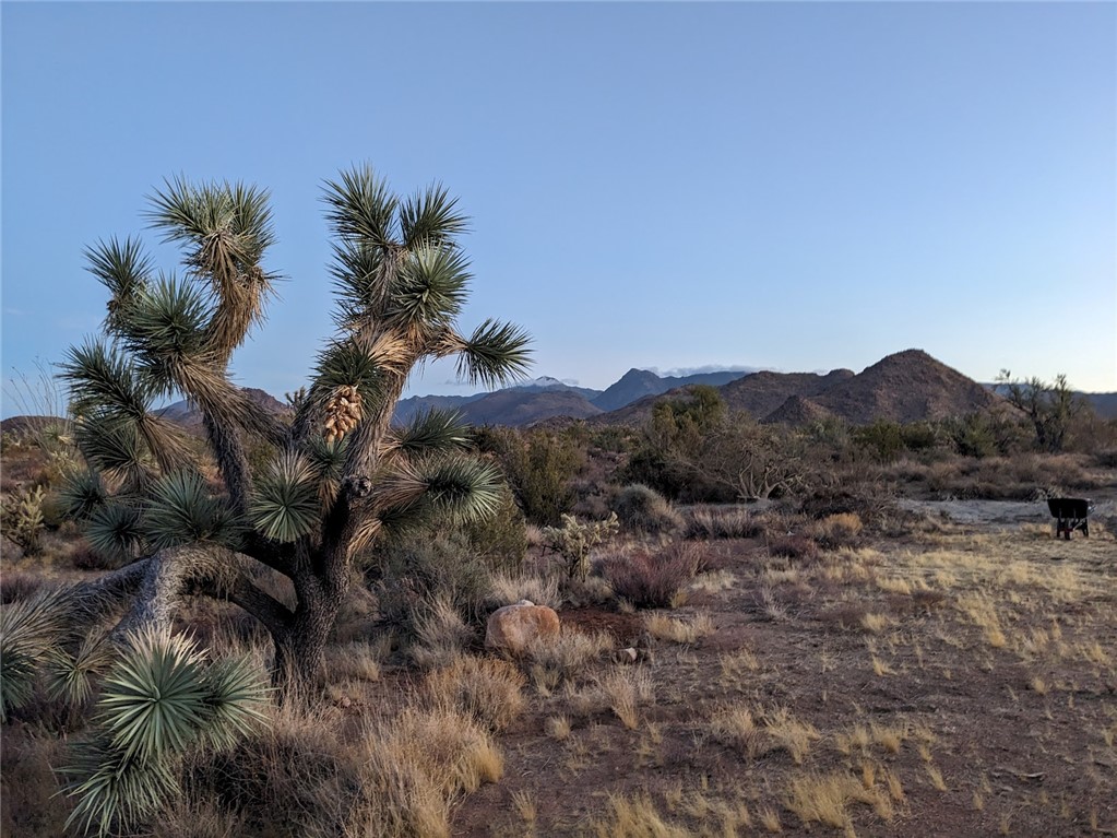2624 South Gold Mine Road Yucca, AZ 86438 - Photo 13 of 15