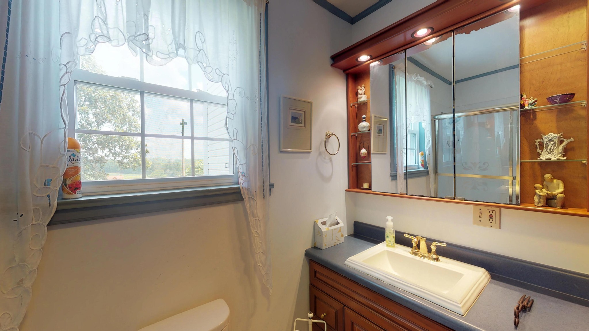4965 Roberson Spring Road Loudon, TN 37774 - Photo 33 of 39 a bathroom with a sink a mirror and a toilet