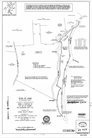 a view of flowers in a garden