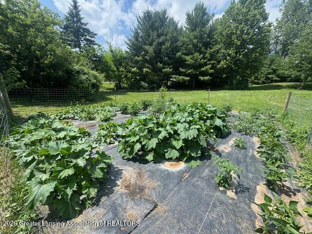 3494 West Kipp Road Mason, MI 48854 - Photo 11 of 57 3494 W Kipp Rd