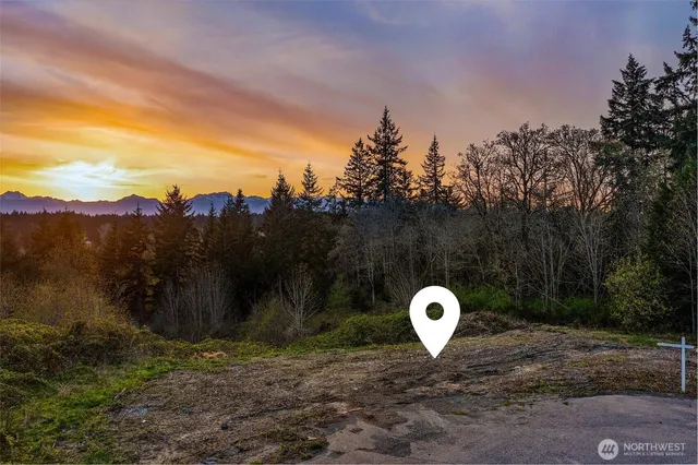 a aerial view of a garden