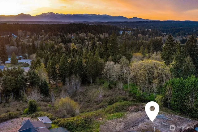 a view of a house with a mountain in a forest