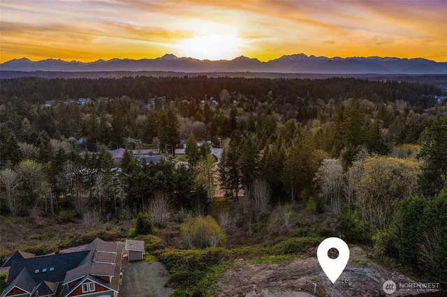 a view of a lake with a mountain and a forest