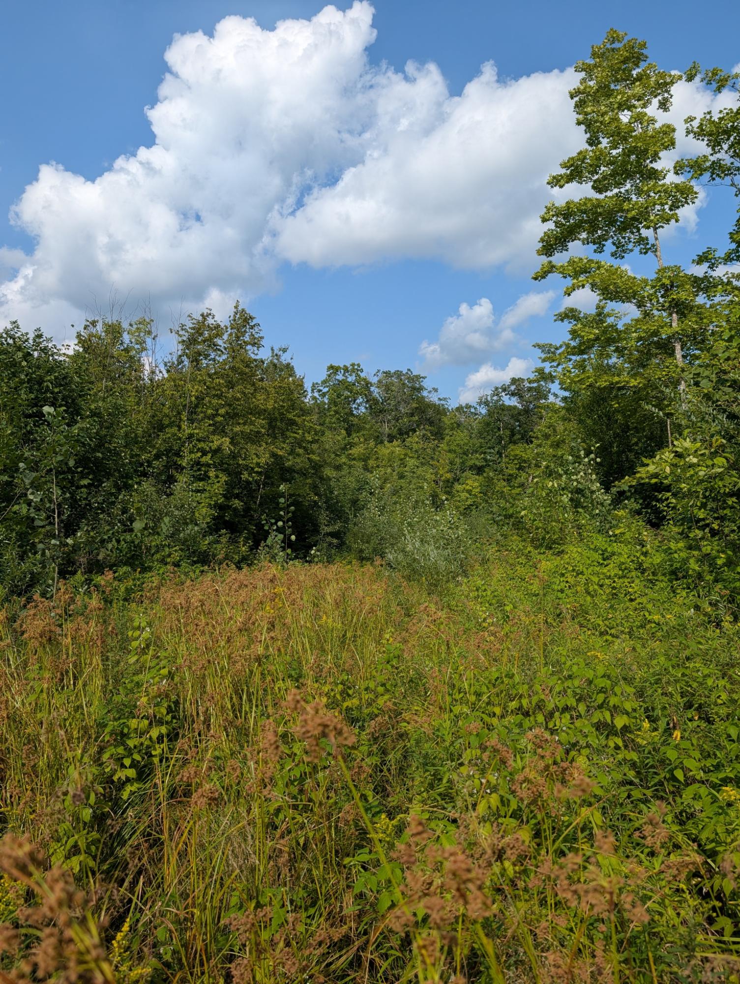 4 West Y Road Exeland, WI 54835 - Photo 24 of 31 Gallery Image 24