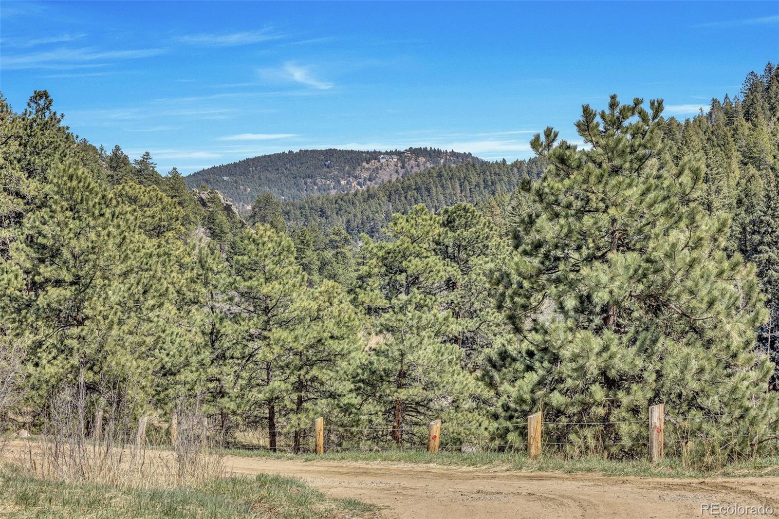 12183 Arnett Ranch Road Littleton, CO 80127 - Photo 26 of 28 a view of a dry yard with trees