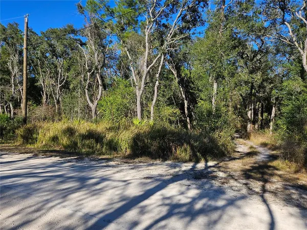 a view of backyard space