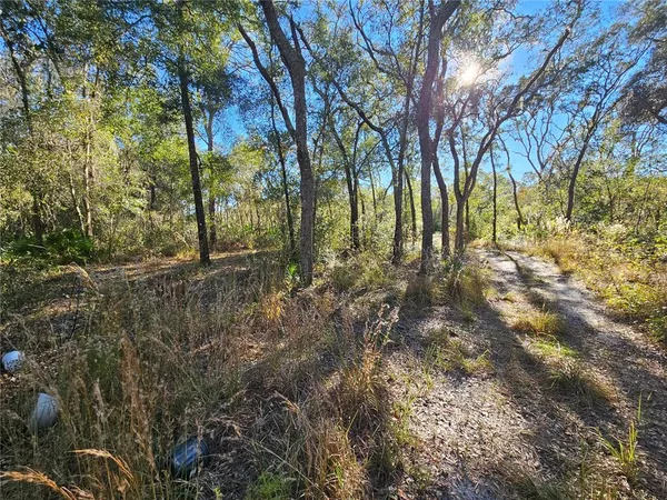$29,900 | Berryhill Drive, Webster, FL 33597