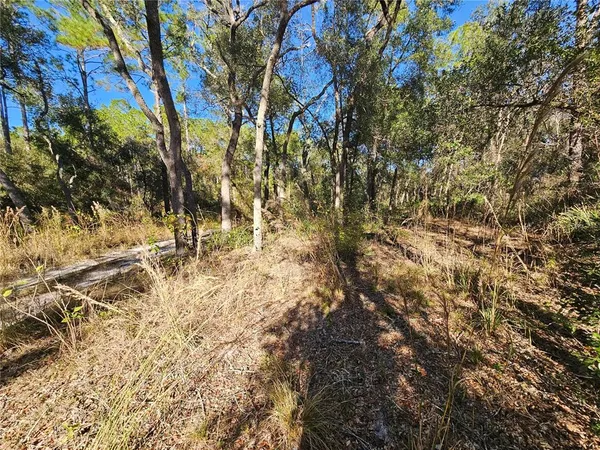 $29,900 | Berryhill Drive, Webster, FL 33597
