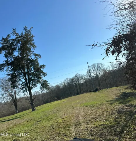 $339,000 | 0 Chichester Road, Edwards, MS 39066