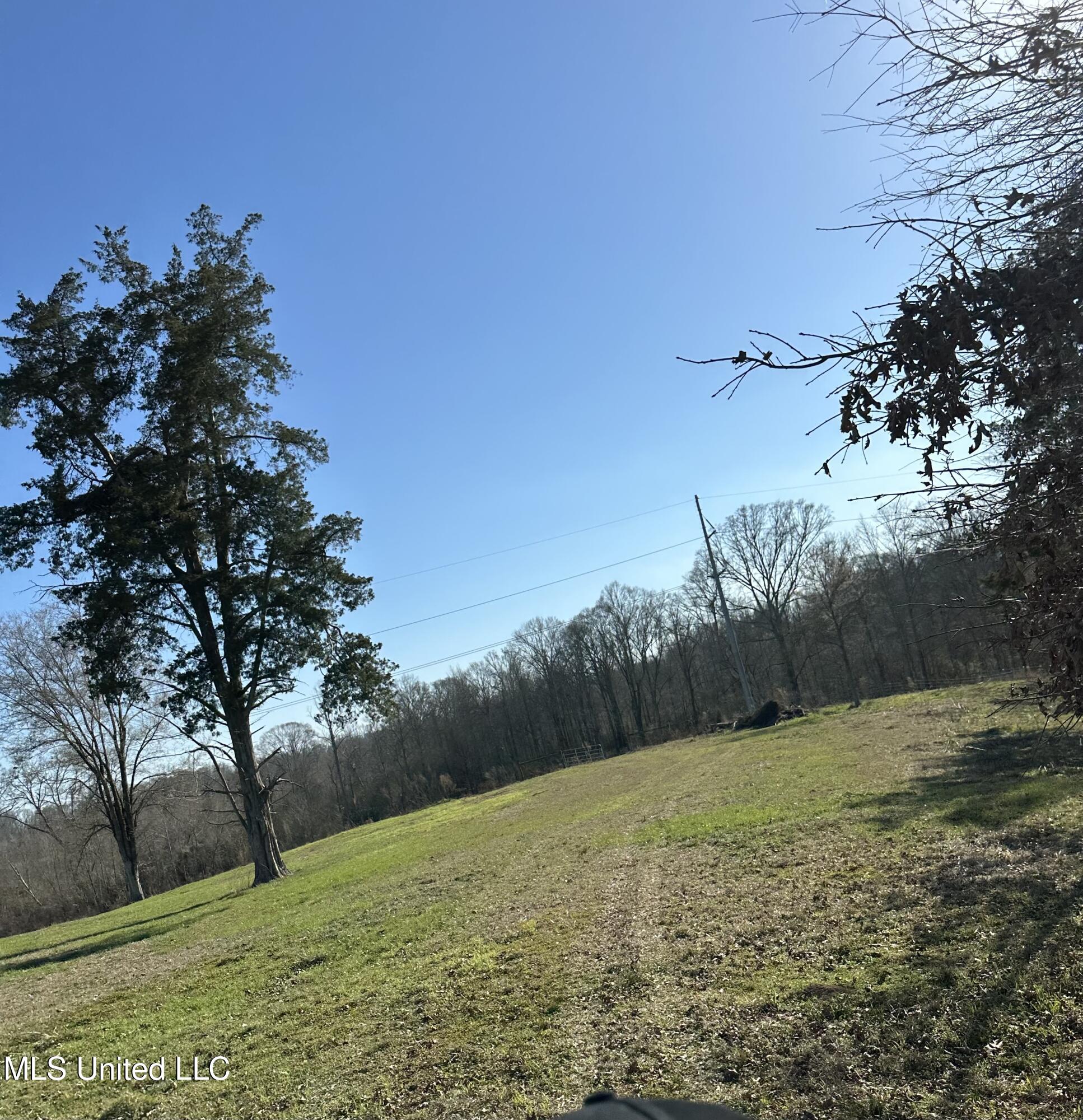 0 Chichester Road Edwards, MS 39066 - Photo 11 of 14 6