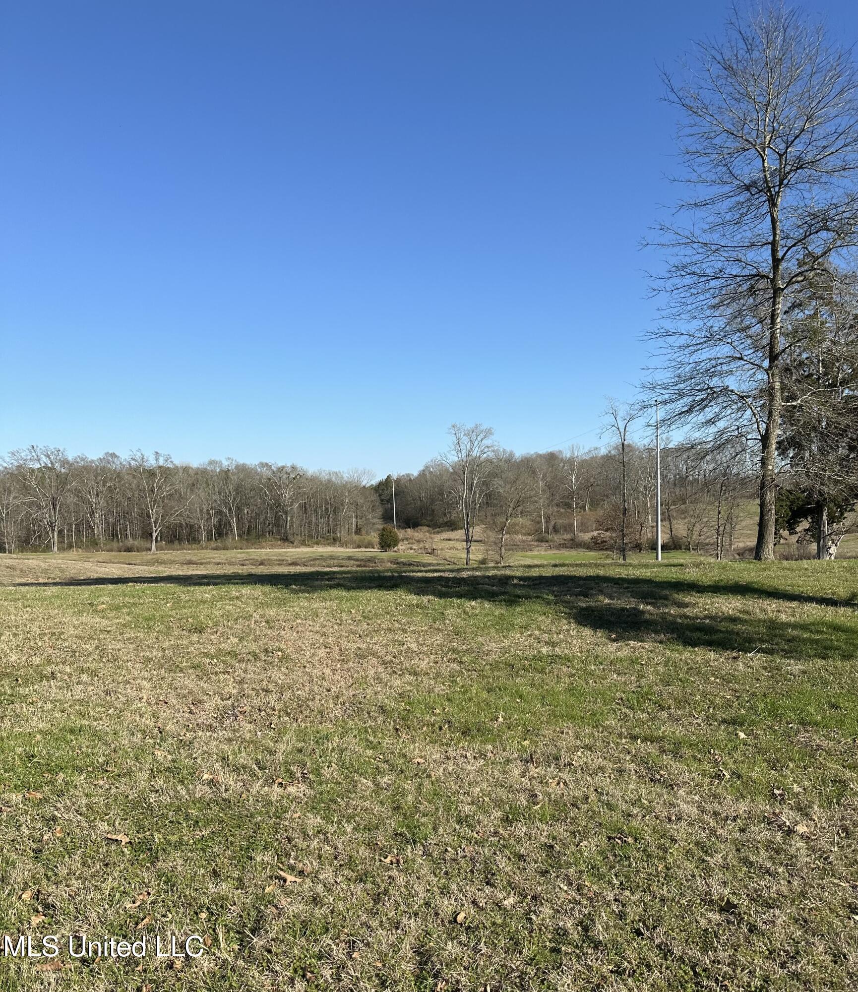 0 Chichester Road Edwards, MS 39066 - Photo 12 of 14 5