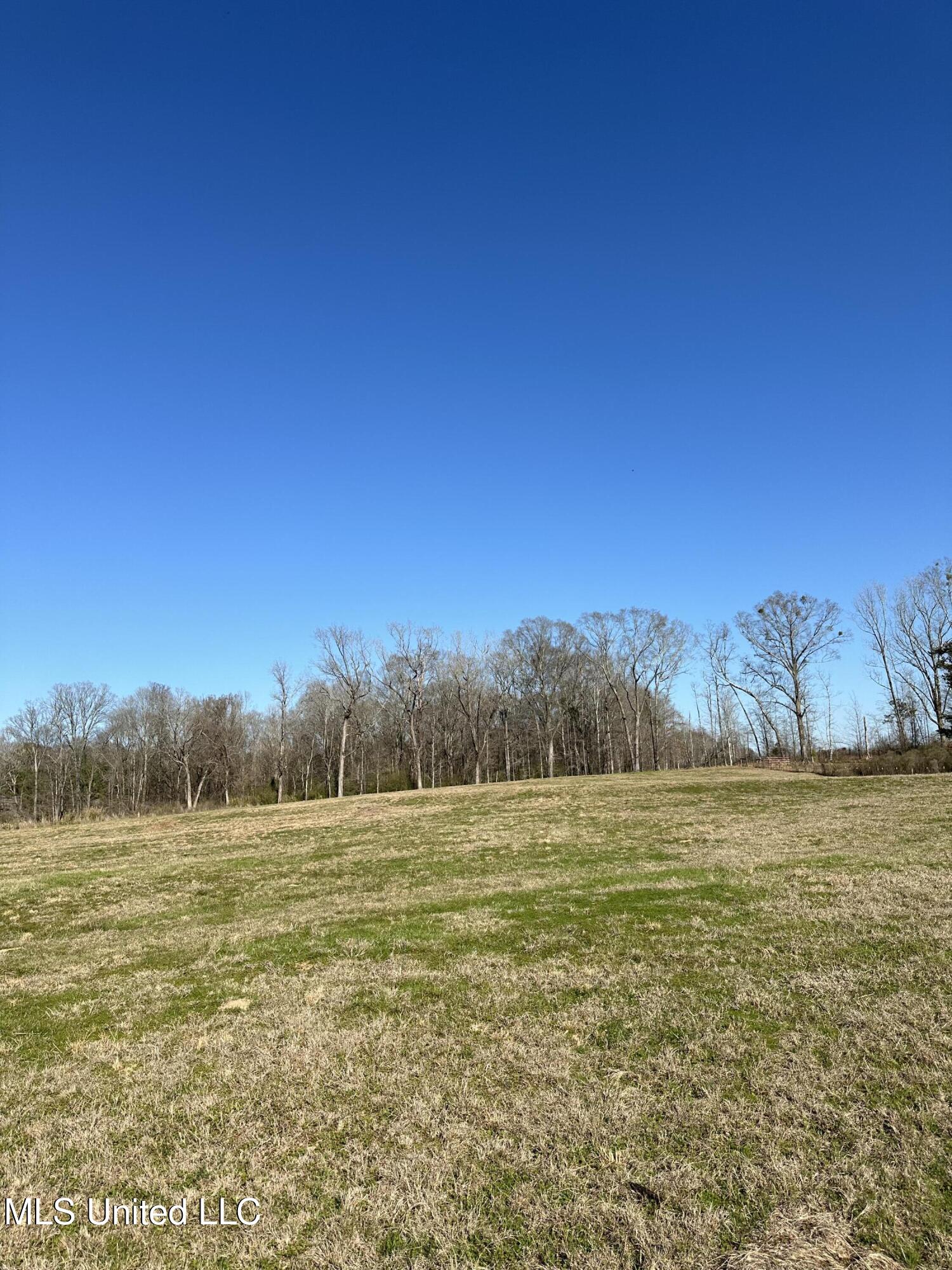 0 Chichester Road Edwards, MS 39066 - Photo 14 of 14 3