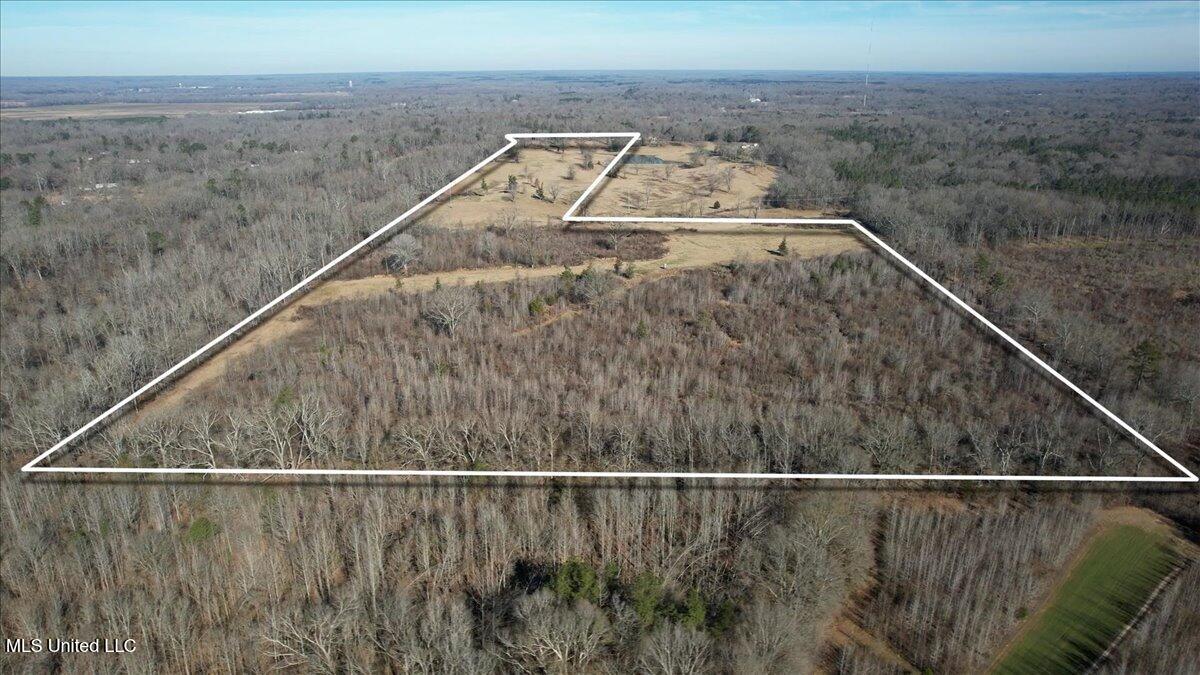 0 Chichester Road Edwards, MS 39066 - Photo 2 of 14 2-Lot line 2